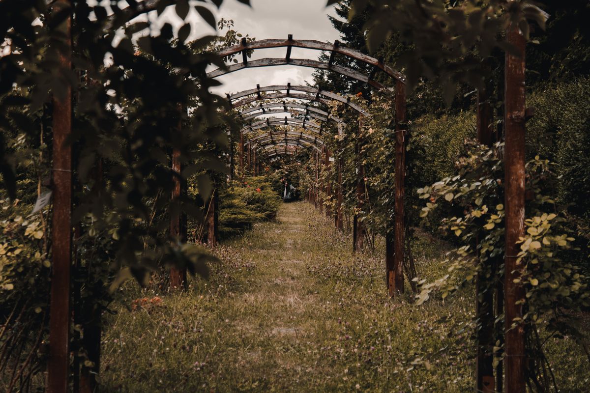 Arche de jardin : on vous dit tout