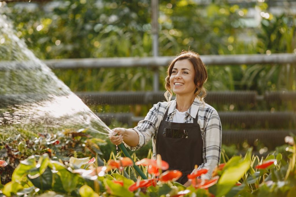 Plantes de plein soleil sans arrosage : le guide d’entretien