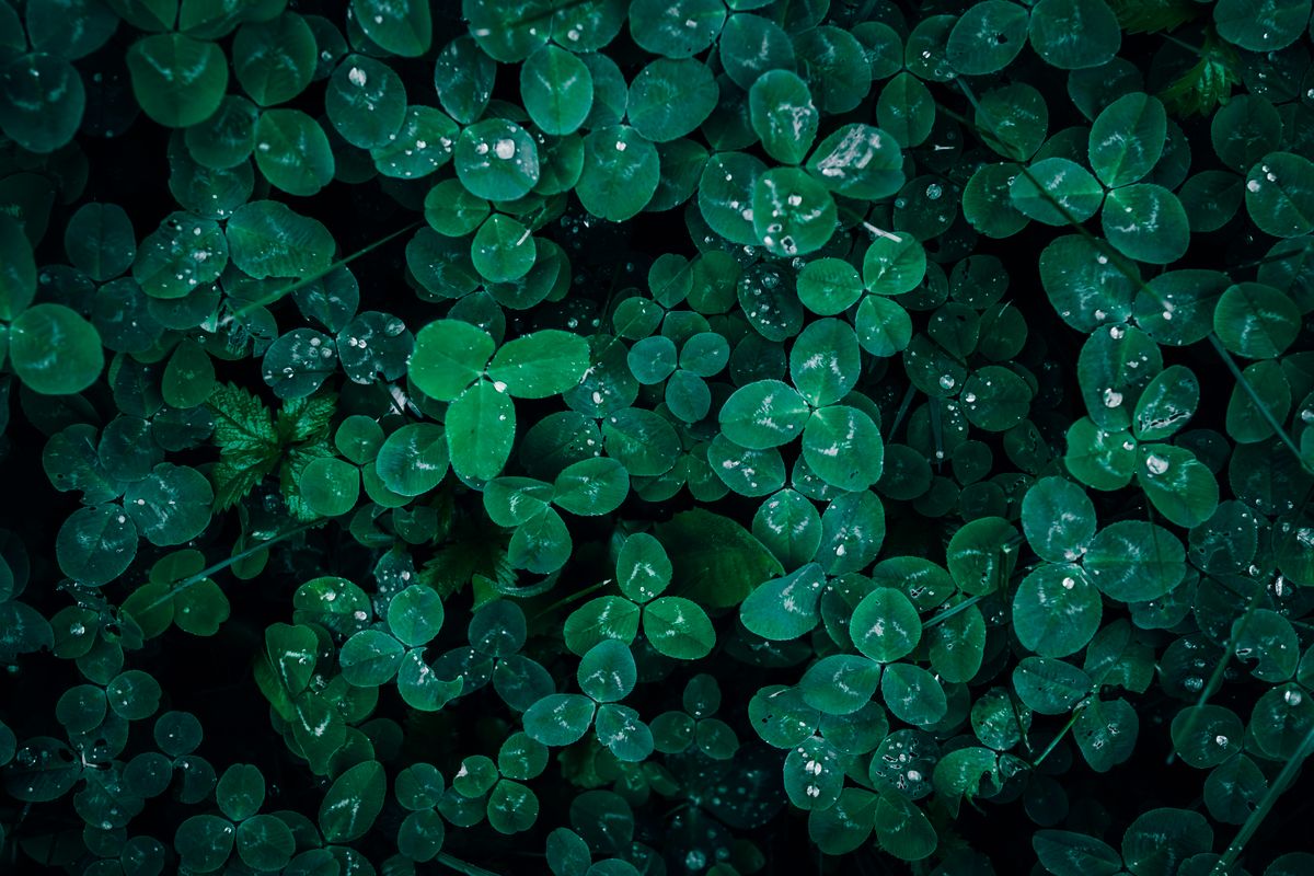 Signification de la couleur verte : sa symbolique